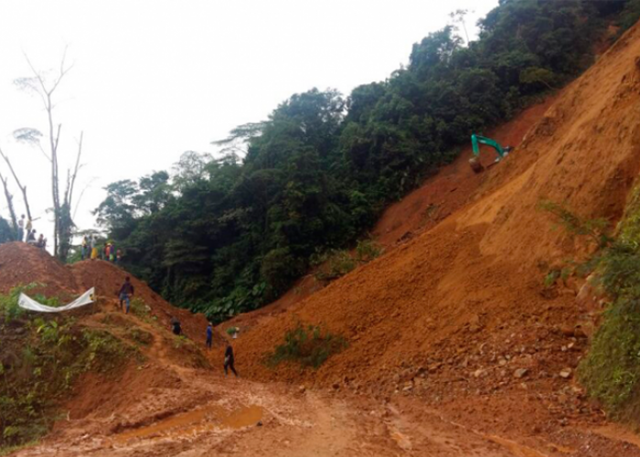 Las obras inconclusas que se pudren en las selvas del Chocó