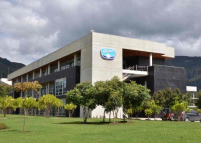 El paro indígena del Cauca golpeó fuertemente a Alpina - El paro indígena del Cauca golpeó fuertemente a Alpina