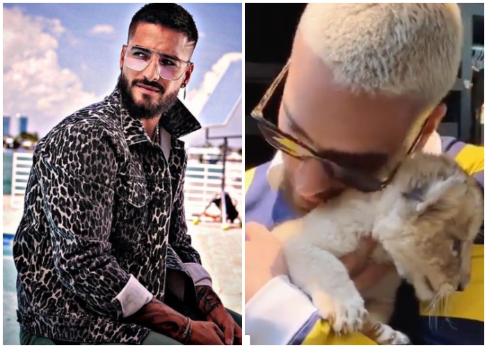 Maluma se cansó del matoneo y cerró su Instagram