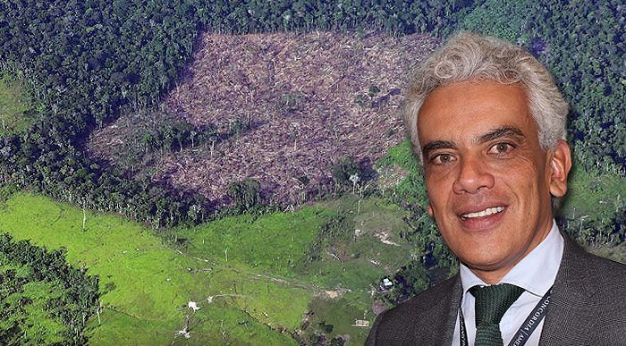  - Colombia, el cuarto país que más tumba bosques en el mundo