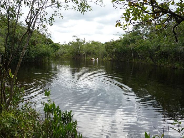 Los jóvenes guardianes del medio ambiente en Guanía
