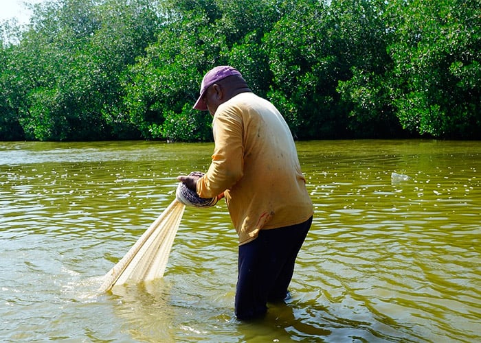 El agua bajo amenaza en un país ignorante