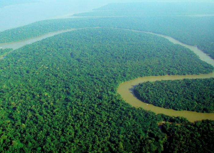 ¿Qué está pasando con la sentencia que protege nuestra Amazonia?