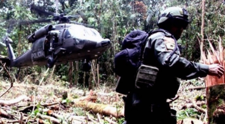 Paz con coca: una historia imposible