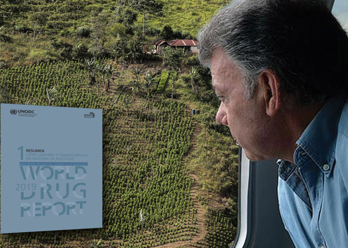 Coca disparada: Colombia, el mayor productor del mundo