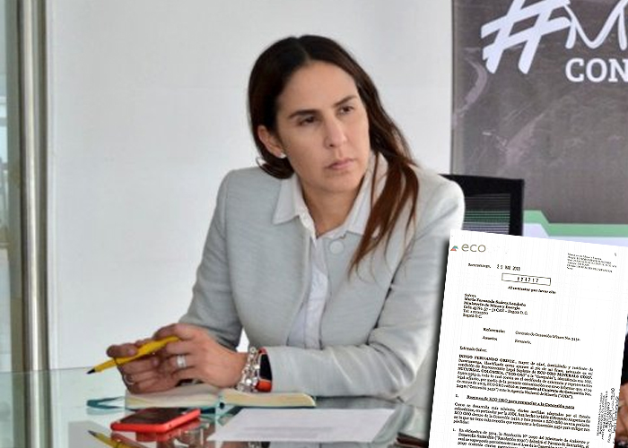 La directora de la ANM espanta a la minería en Santurban