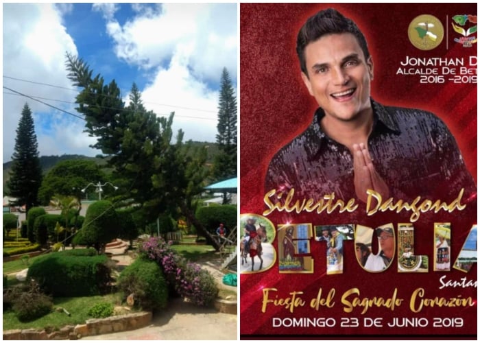 En Santander habrían talado árboles por concierto de Silvestre Dangond