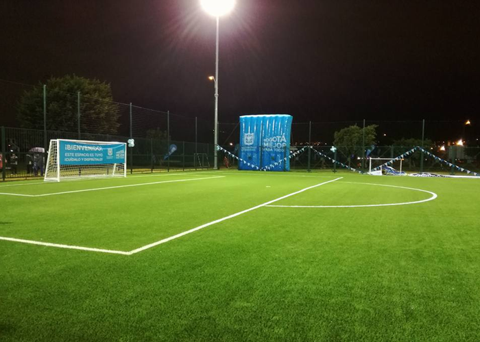 Por qué decirle no a las canchas sintéticas de Peñalosa