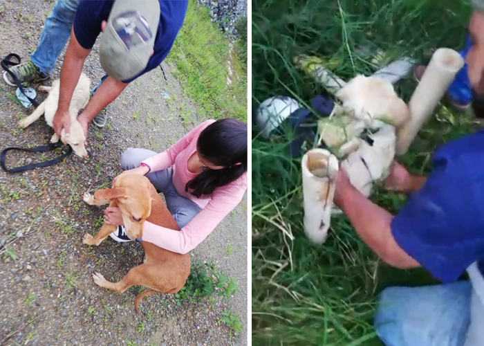 Huecos mortales en Pácora, Caldas