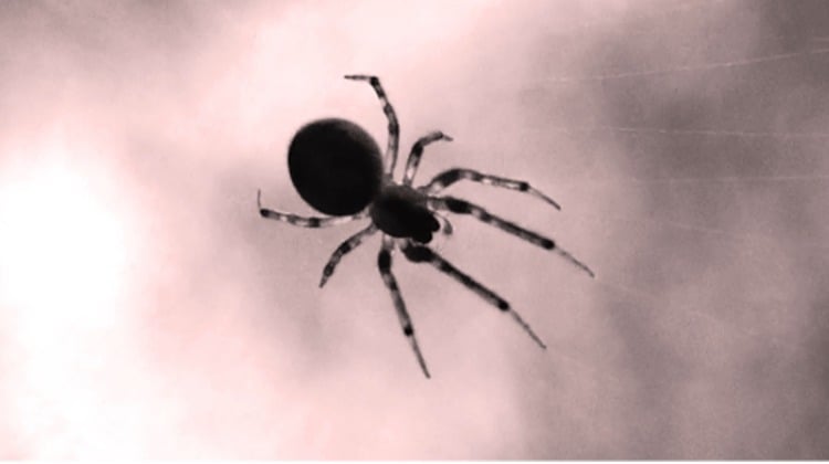 El arte de lo reciclable