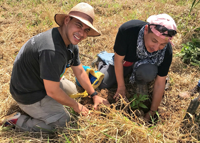 Siembra tu árbol, la iniciativa de excombatientes que invita a la reconciliación