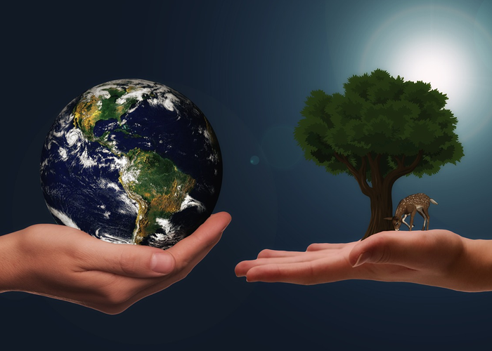 Sostenibilidad ambiental, la urgente prioridad para la supervivencia humana