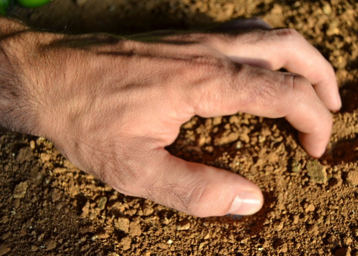 De difunto a abono: el nuevo modo de relacionarse con la Tierra