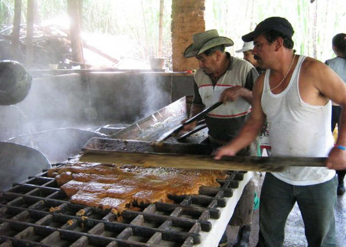 En defensa de su ingreso, paneleros convocan paro nacional
