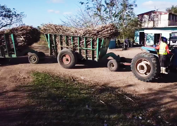 ¿Está condenado el valle geográfico del río Cauca al monocultivo de caña?