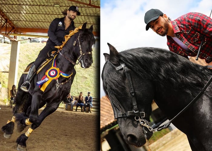 Hércules, el caballo consentido de Maluma, fue el rey de Agroexpo 2019