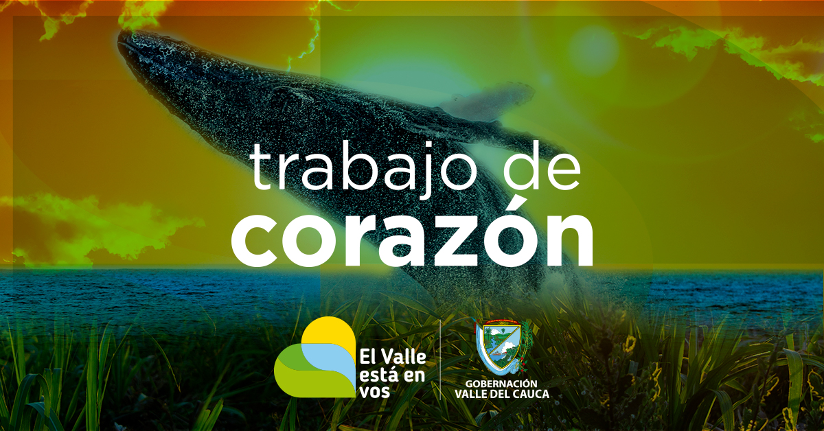  - El Valle está en vos