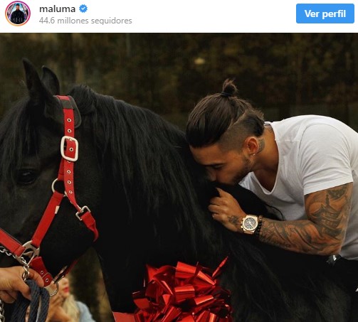  - Hércules, el caballo consentido de Maluma, fue el rey de Agroexpo 2019