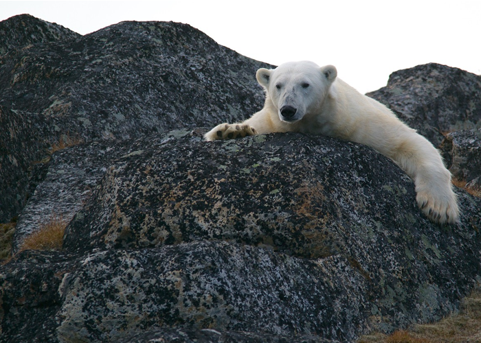 De la degradación ambiental y la contundente amenaza climática