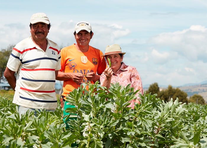 Grupo Éxito le apuesta al comercio sostenible con productores colombianos