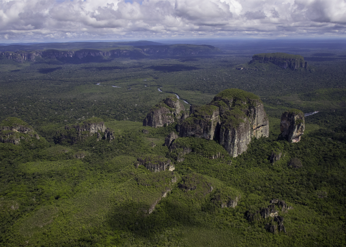 La importante ley de conciencia ambiental