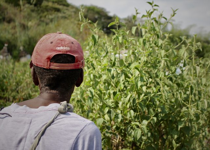 Líderes sociales: una historia de infamia