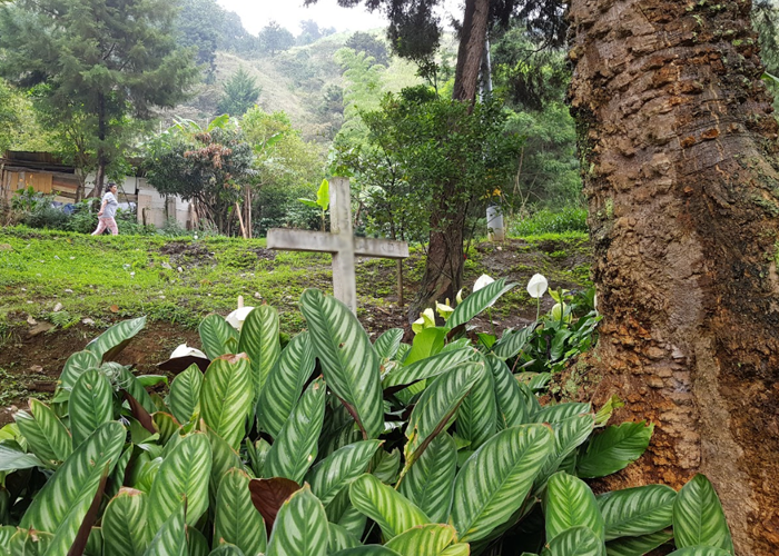 ¿A dónde van los desaparecidos?