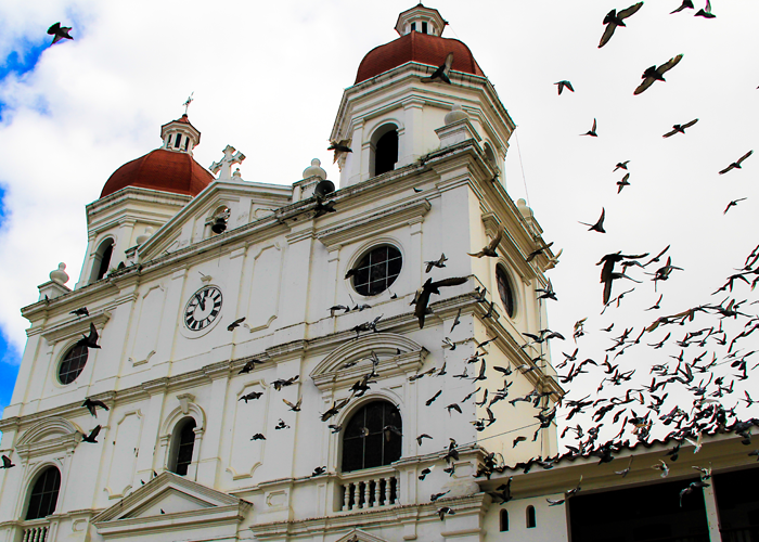 Rionegro, Antioquia: la cretina sinfonía de los lobos