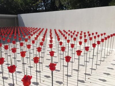  - El mundo que vivimos