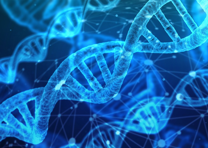 La guerra genética: el nuevo escenario de confrontación de Estados Unidos