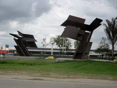  - La geometría de la vida