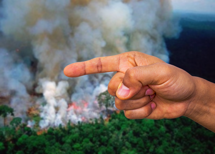 Los culpables de la crisis del Amazonas