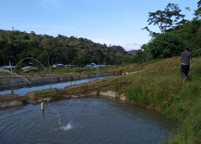 Cinco nuevos proyectos productivos aprobados por el Consejo Nacional de Reincorporación