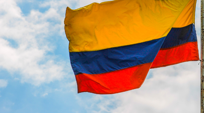  - Las líneas de trabajo de la comunidad colombiana en el exterior