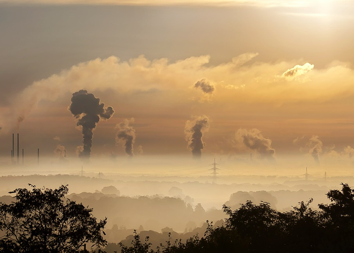 ¡Que el cuidado de la naturaleza también sea tema de campaña!