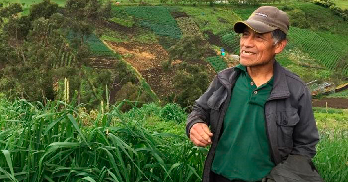 ¿Cómo se logra vivir a punta de brócoli, coliflor y espinacas?