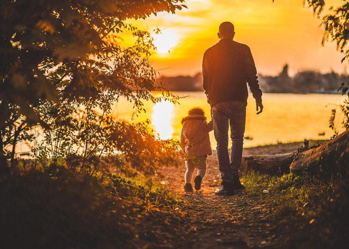 Hubo vida en Colombia en el siglo XX