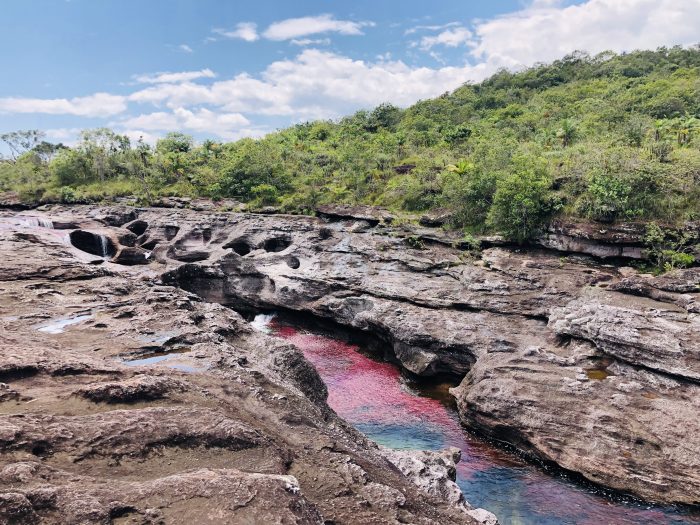  - Caño Cristales: el milagro que produjo el único río del mundo que florece