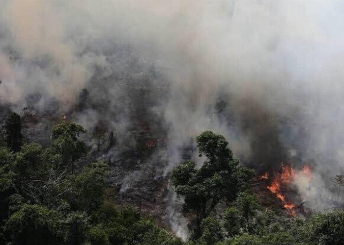 ¡Cuestión de supervivencia!