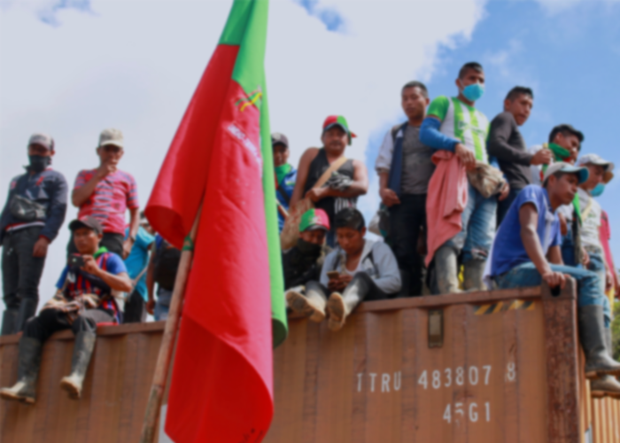 El genocidio indígena en el Cauca