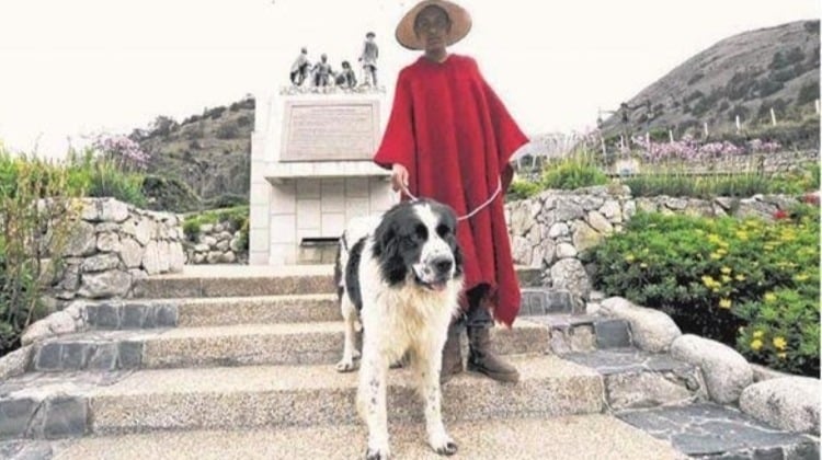 El perro de Simón Bolívar