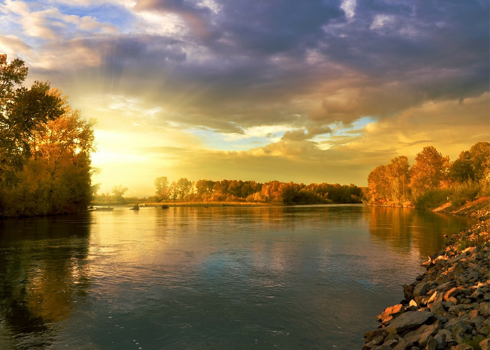 La última fiesta de la naturaleza