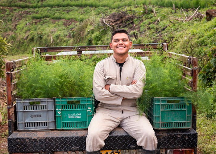 Cambió una vida en Europa por cultivar espárragos en Caldas