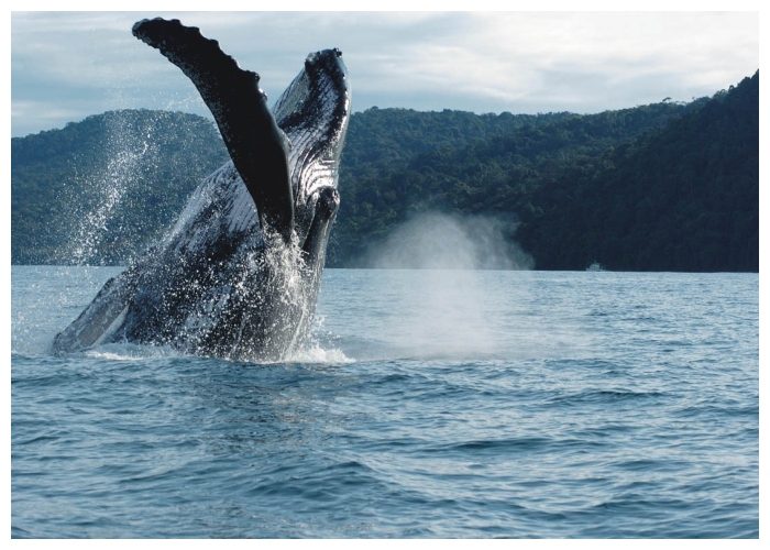 Los turistas cada vez más prefieren al Valle del Cauca - Página 9 - -- Las2orillas.co: Historias, voces y noticias de Colombia - Los turistas cada vez más prefieren al Valle del Cauca - Página 9