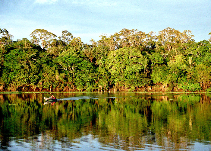 Amazonas: soberanía del consumidor y crisis ambiental