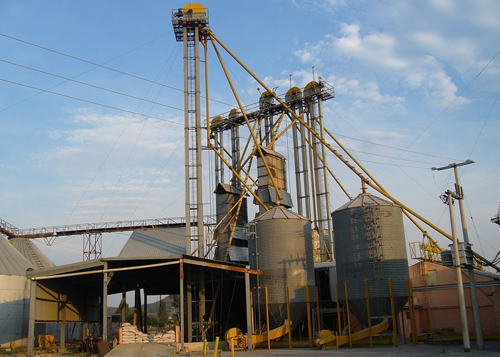 Los arroceros y la ley del embudo en Casanare