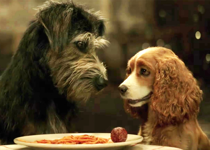 De perro callejero a protagonista multimillonario