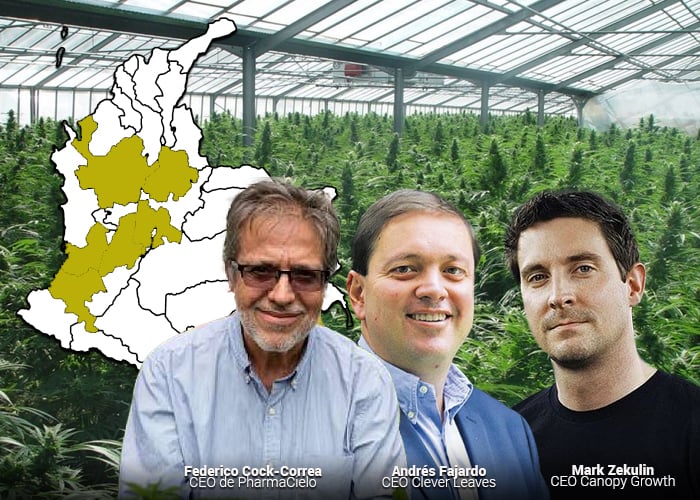 El mapa de la marihuana en Colombia