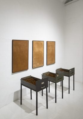 La falsa ilusión de la verdad - -- Las2orillas - La falsa ilusión de la verdad