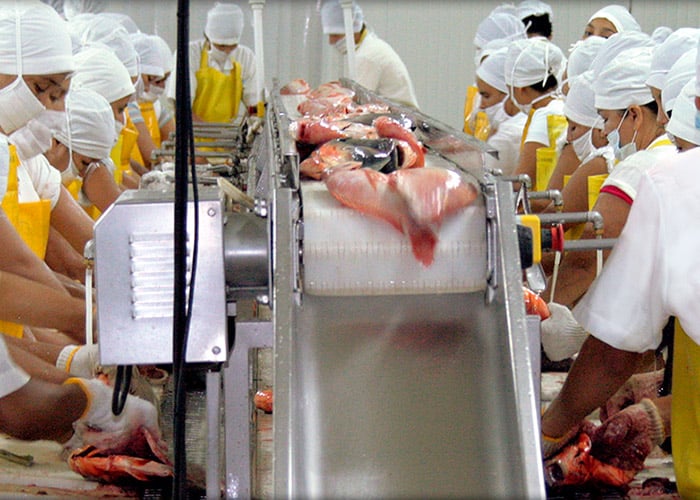 Lo que hay detrás del pescado que usted se come diariamente